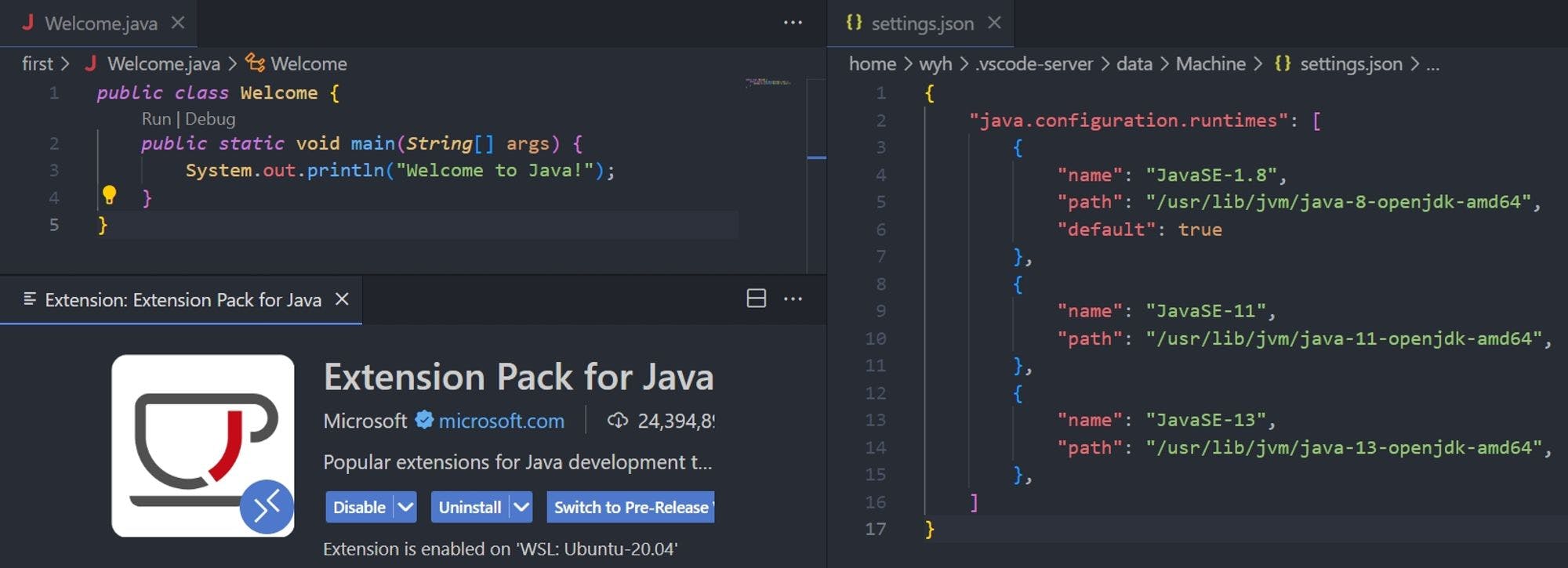 Setup Java on WSL